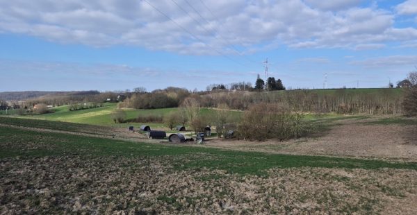 Wat er verdwijnt als het lokale slachthuis sluit