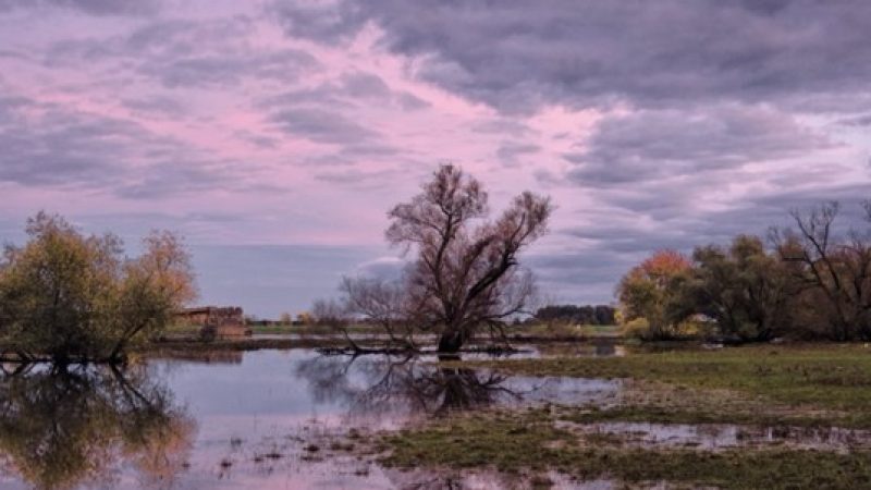 Peggycoucair via Pixabay