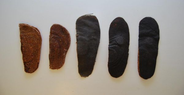 From Orange Waste to Regeneration